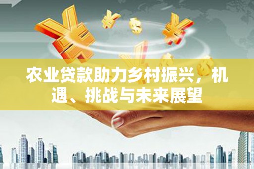 南化农业贷款助力乡村振兴，机遇、挑战与未来展望