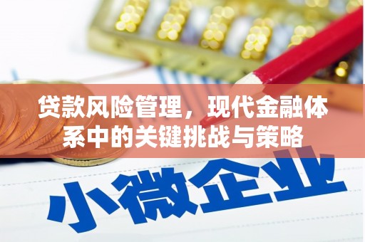 南化贷款风险管理，现代金融体系中的关键挑战与策略