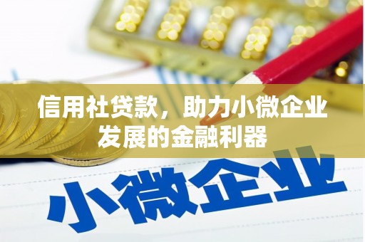 南化信用社贷款，助力小微企业发展的金融利器