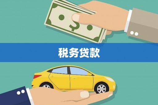 南化税务贷款
