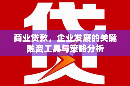 南化商业贷款，企业发展的关键融资工具与策略分析