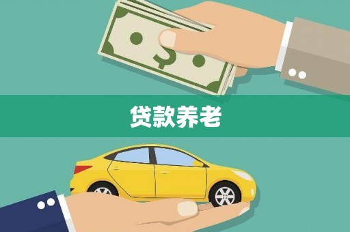 南化贷款养老