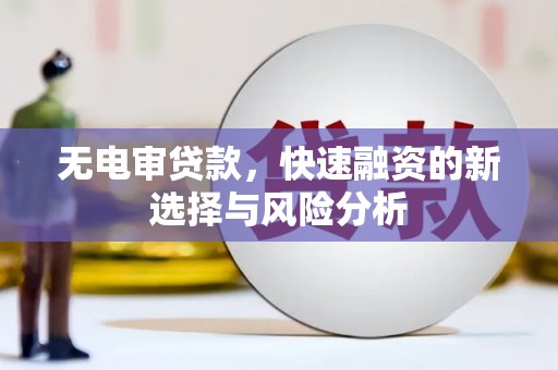 南化无电审贷款，快速融资的新选择与风险分析
