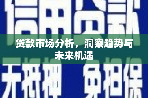 南化贷款市场分析，洞察趋势与未来机遇