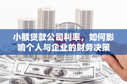 南化小额贷款公司利率，如何影响个人与企业的财务决策