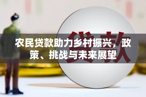南化农民贷款助力乡村振兴，政策、挑战与未来展望