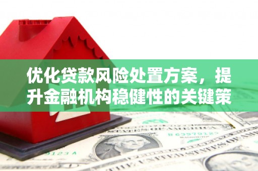 南化优化贷款风险处置方案，提升金融机构稳健性的关键策略