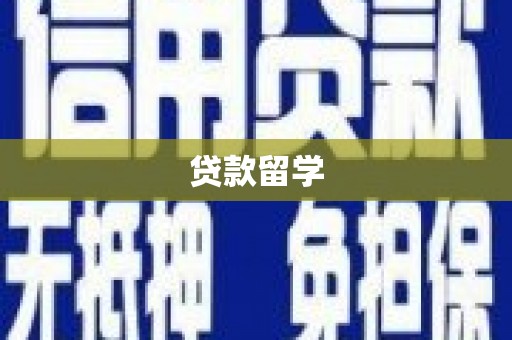 南化贷款留学