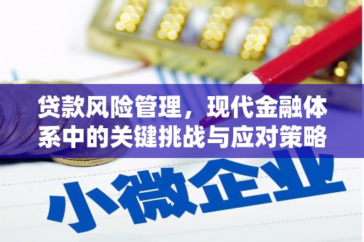 南化贷款风险管理，现代金融体系中的关键挑战与应对策略