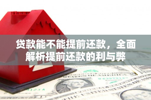 南化贷款能不能提前还款，全面解析提前还款的利与弊