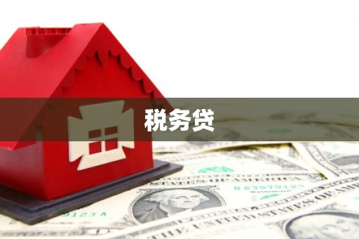 南化税务贷
