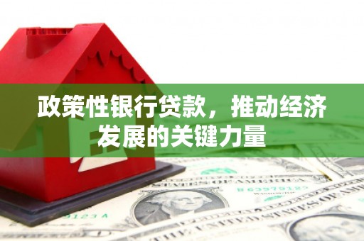 南化政策性银行贷款，推动经济发展的关键力量