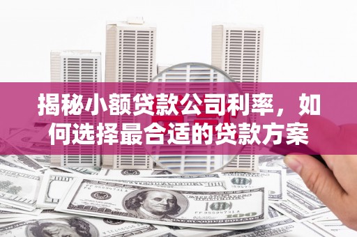 南化揭秘小额贷款公司利率，如何选择最合适的贷款方案
