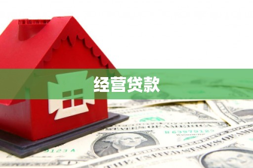 南化经营贷款
