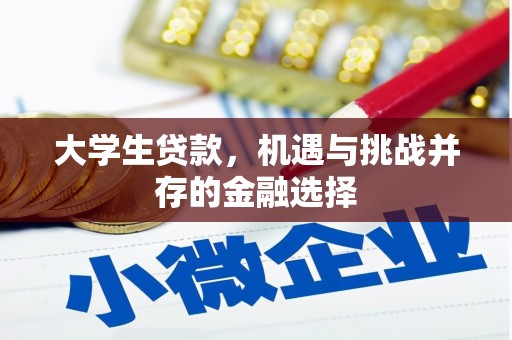 南化大学生贷款，机遇与挑战并存的金融选择