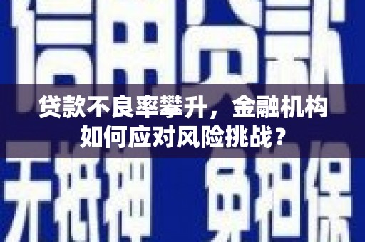 南化贷款不良率攀升，金融机构如何应对风险挑战？