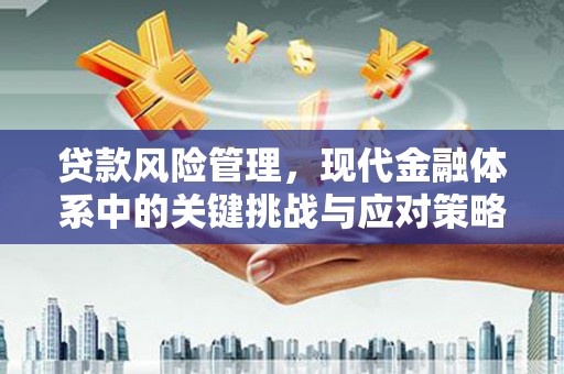 南化贷款风险管理，现代金融体系中的关键挑战与应对策略