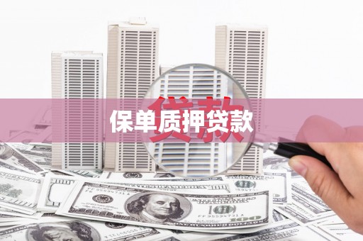 南化保单质押贷款