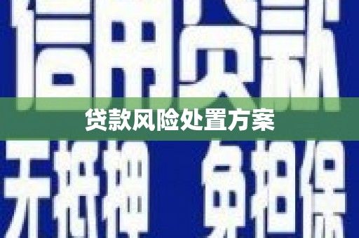 南化贷款风险处置方案