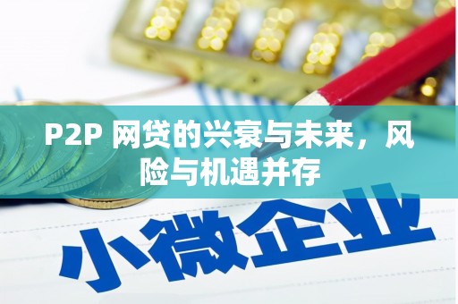 南化P2P 网贷的兴衰与未来，风险与机遇并存