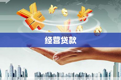 南化经营贷款