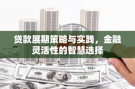 南化贷款展期策略与实践，金融灵活性的智慧选择