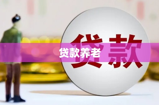 南化贷款养老