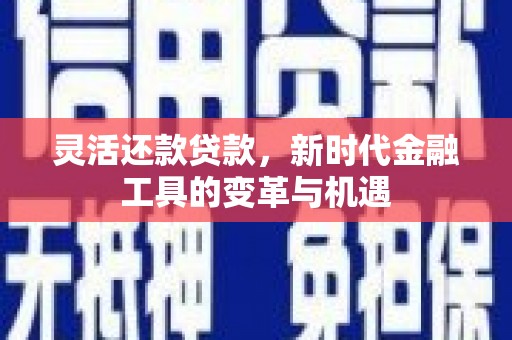 南化灵活还款贷款，新时代金融工具的变革与机遇