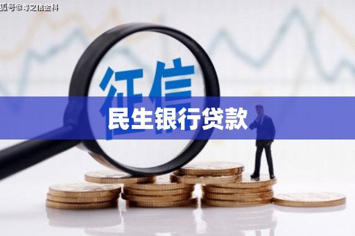 南化民生银行贷款