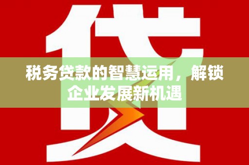 南化税务贷款的智慧运用，解锁企业发展新机遇