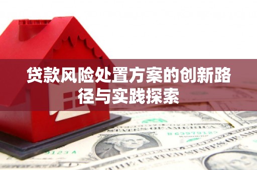 南化贷款风险处置方案的创新路径与实践探索