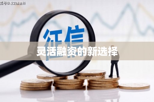 南化灵活融资的新选择