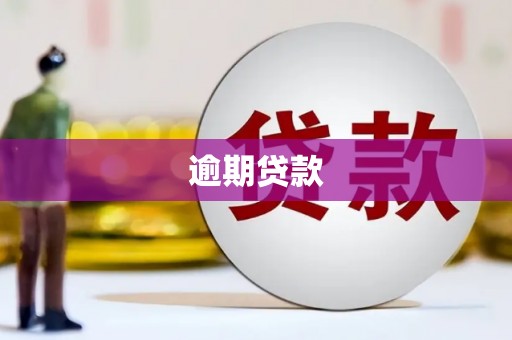 南化逾期贷款