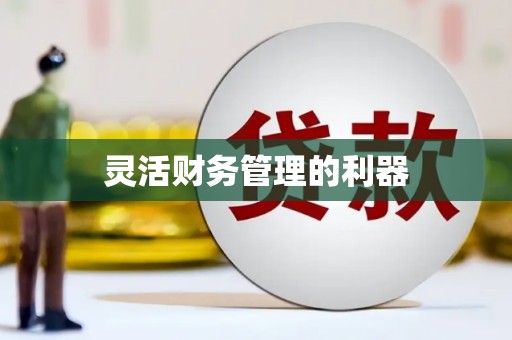 南化灵活财务管理的利器