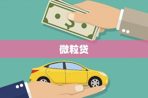 南化微粒贷