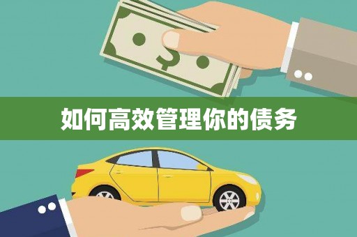 南化如何高效管理你的债务