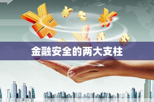 南化金融安全的两大支柱