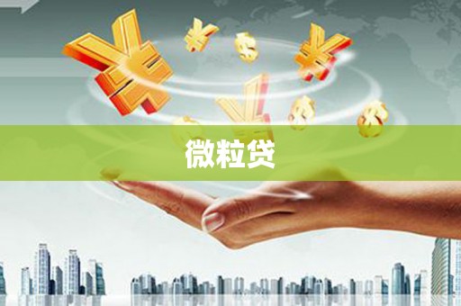 南化微粒贷
