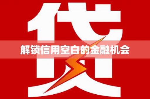 南化解锁信用空白的金融机会