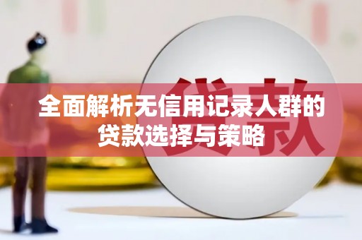 南化全面解析无信用记录人群的贷款选择与策略