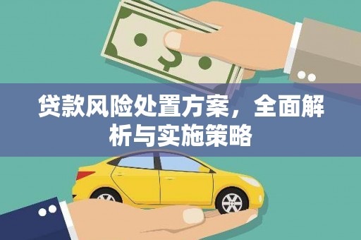 南化贷款风险处置方案，全面解析与实施策略