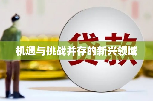 南化机遇与挑战并存的新兴领域