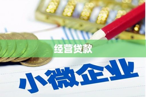 南化经营贷款