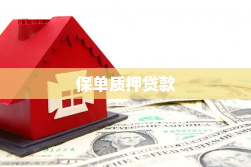 南化保单质押贷款