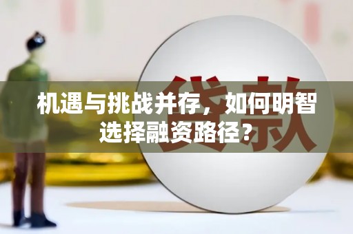 南化机遇与挑战并存，如何明智选择融资路径？