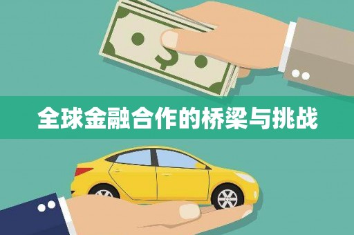 南化全球金融合作的桥梁与挑战