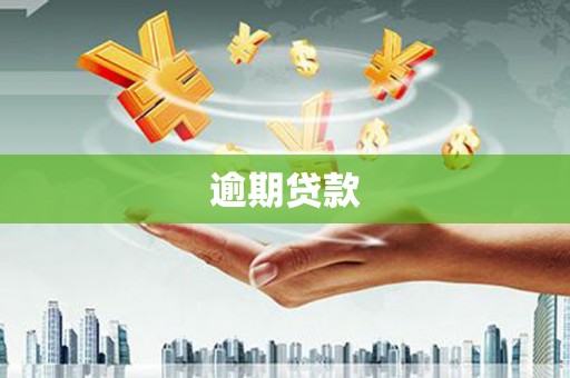 南化逾期贷款