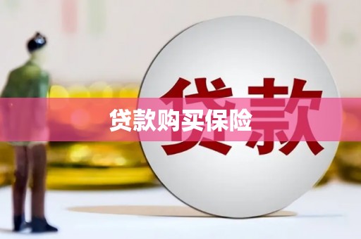 南化贷款购买保险
