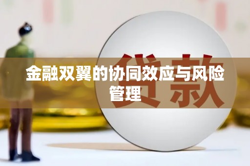 南化金融双翼的协同效应与风险管理