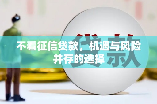 南化不看征信贷款，机遇与风险并存的选择
